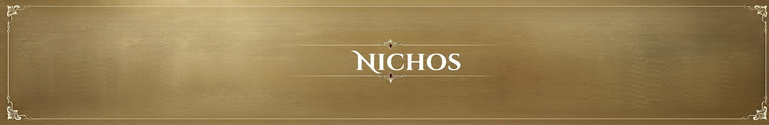 Banner nichos.jpg