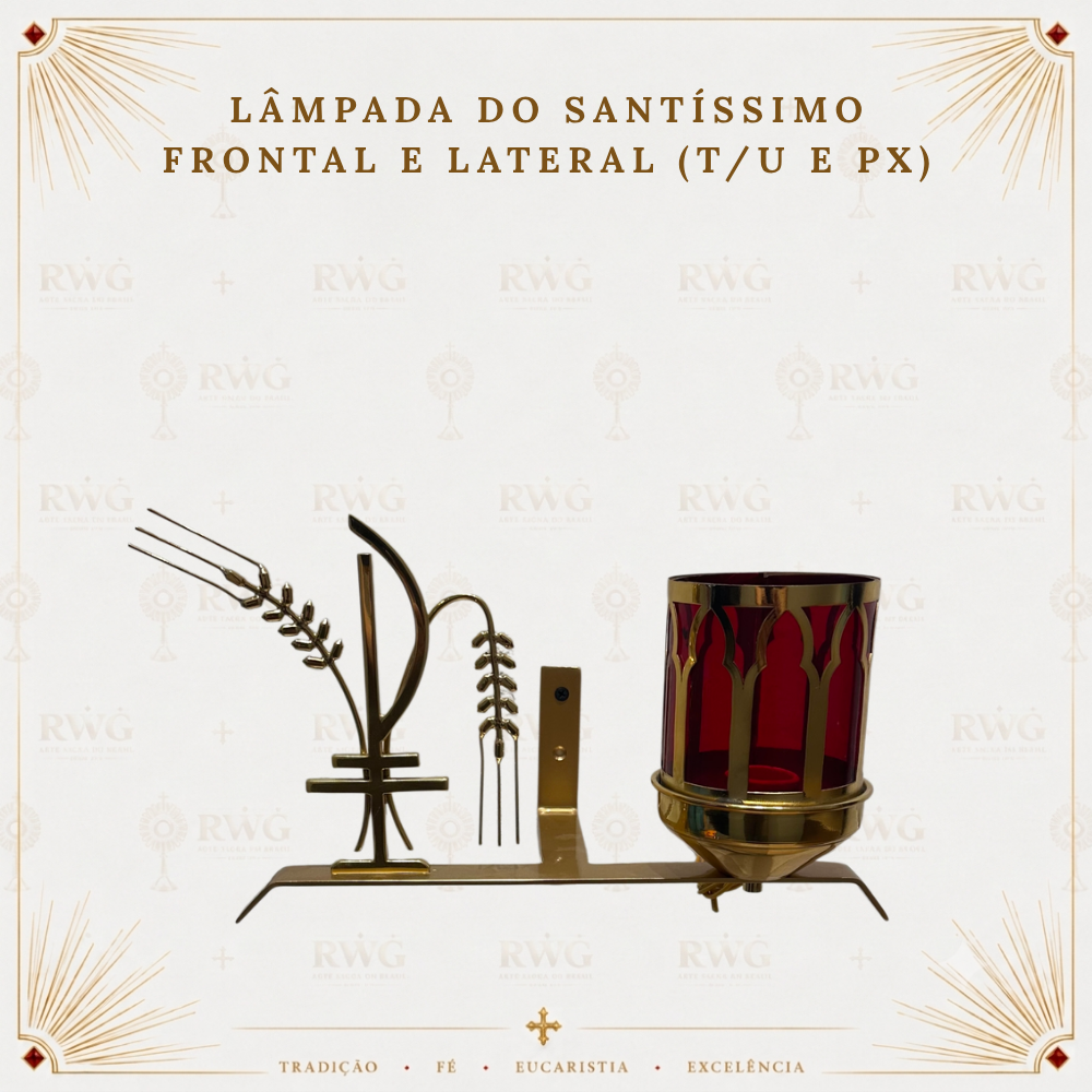 frontal e lateral.png