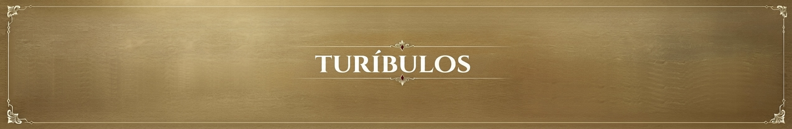 Banner Turíbulo.jpg