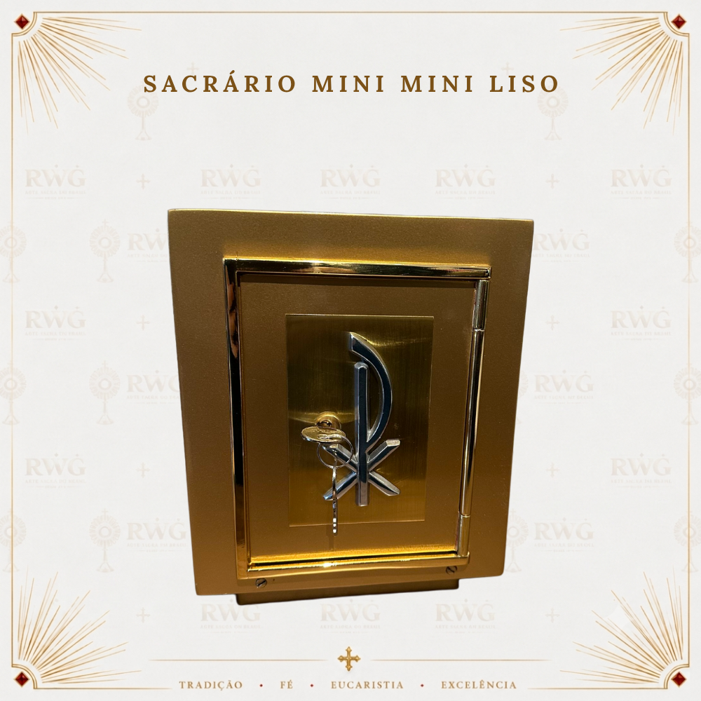 mini mini liso.png