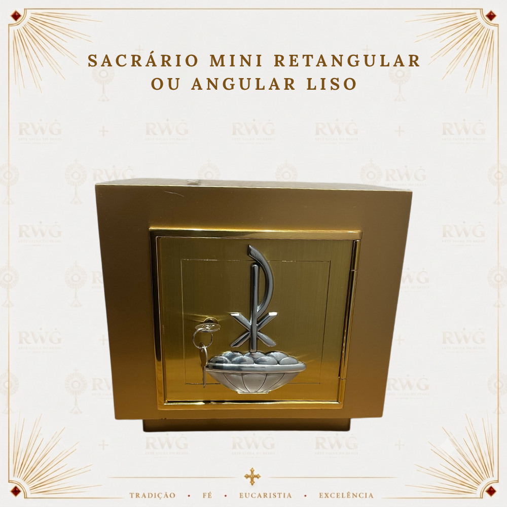 mini liso.png